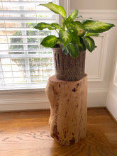 Load image into Gallery viewer, 15.  Stump End Table - 1
